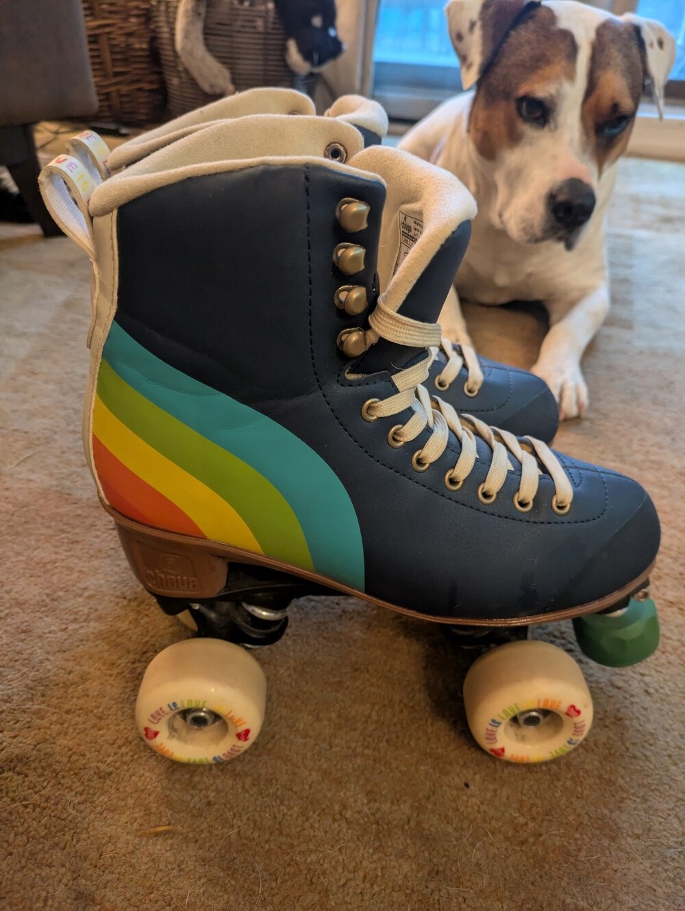The Chaya Melrose Elite Love Is Love Roller Skate